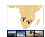 [Translate to English:] Landkarte Afrika