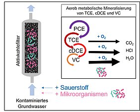 Principle of a self-regenerating bioactive carbon filter with immobilisation of specialized microorganisms on the activated carbon material.