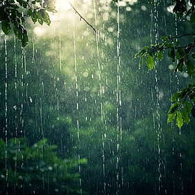 Precipitation monitoring on TFA by TZW (Image: Shutterstock)