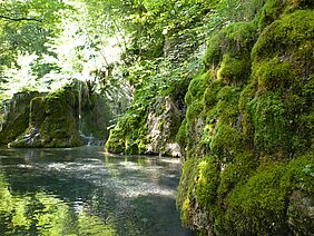 Karst and water in the Swabian Alb are the focus of the new research project. Gütersteiner waterfalls near Bad Urach, image: Franzfoto/wikipedia  