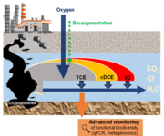 Stimulation des aeroben TCE-, cDCE- und VC-Abbaus mit Sauerstoff